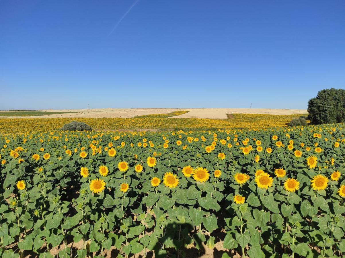 Castellanos de Villiquera Vinarius, Posada Rural المظهر الخارجي الصورة